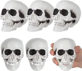 039499gnqe Amosfun Skull Ornaments - 6pcs Plastic Realistic Halloween Heads For