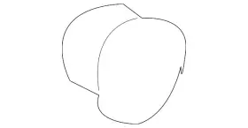 12205116 Gm Genuine Knob