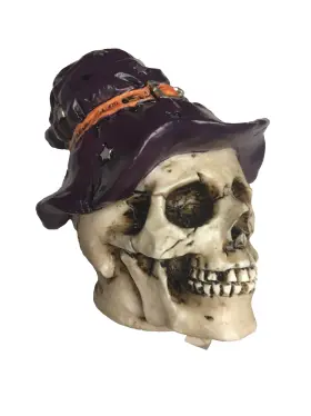 Wu75583aa Veronese 21-0780 Biker Wizard Skull Custom Shift Knob By 2011 Rare To Find New