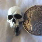Seat Bolt For Harley Davidson Skull 1/4X20 Hot Rat Street Rod Made In Usa 15SB New. Price: $9.99.