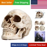 Resin Skull, Human Head Model For Home Decoration, Halloween Statue, Mo... New. Price: $25.09.
