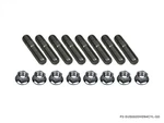 P2M For Stainless Exhaust Manifold Double Head Stud Nut Set M10X1.25 : 4 Cyl New. Price: $64.00.