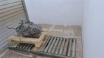 Used Automatic Transmission Assembly Fits: 2013 Volvo 30 Series 5 Cylinder Fw. Price: $303.12.