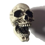 M10-1.5 Skull Shift Knob Hot Rat Street Rod Skeleton Goth Made In Usa #20 New. Price: $35.00.