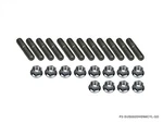 P2M For Stainless Exhaust Manifold Double Head Stud Nut Set M10X1.25 : 6 Cyl New. Price: $96.00.