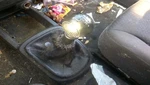 Shifter Aveo 2007 Transmission 31974312 Used. Price: $104.55.