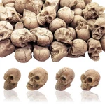 Halloween Mini Skull Figurine 20PCS Heads Decoration Res... New. Price: $17.06.