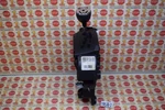 2011-2020 Dodge Caravan Automatic Gear Selector Shifter 1UC34DX9AB Oem Used. Price: $59.99.
