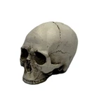 Mini Skull Head Statue Aged Bone Cold Cast Resin Gothic Decor New. Price: $5.99.