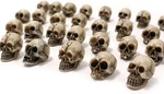 Skull Figurine Miniature Skeleton Head Table Decor,halloween Micro Landscap New. Price: $15.95.
