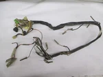1981 Suzuki Main Primary Wiring Harness Wires Used. Price: $75.00.