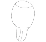 Genuine Gm Shift Knob 25851736 New. Price: $56.00.