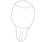 Genuine Gm Shift Knob 25851736 New. Price: $56.00.
