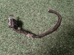 2020 2021 2022 Ford Escape Oem Gear Shift Control Module Wire Pigtail Cut 2L4 Used. Price: $39.99.