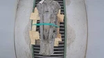 Used Automatic Transmission Assembly Fits: 2008 Infiniti EX35 4X4 Awd From 3/. Price: $376.24.