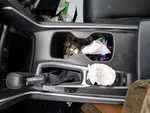 2019 Honda Accord Shifter Lever/knob At Acvt Fwd 1.50L Used Part 2782304. Price: $94.53.